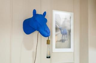 Blue Camel Apartment - 0