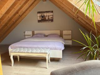 Le rêve Ardennais - 1