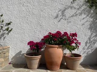 B&B La Vera Vita - 7