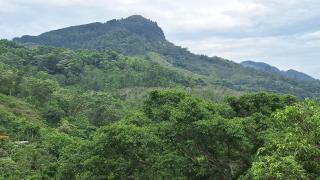 White House Holiday Inn - 6