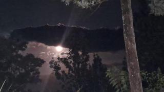 White House Holiday Inn - 4