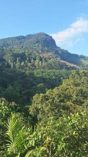 White House Holiday Inn - 3