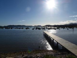 Oystercatcher Bay Boathouse - Coromandel - 4