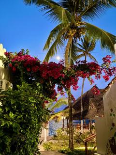 AVO Boutique Hotel - 5