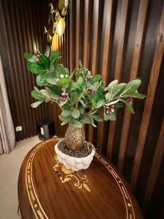 Goldcrest Luxury 1 Bedroom Apartment DHA Lahore - 1