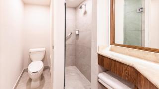 Holiday Inn Orizaba by IHG - 3