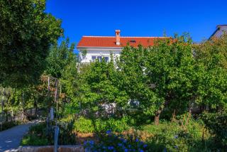 Apartments Ivica - 0