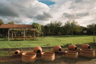 Guesthouse Iago's Winery - 7