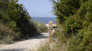 The Loon And The Wren - 7