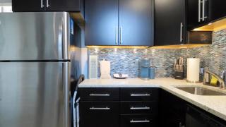 The Belvedere Unit 2C - 5