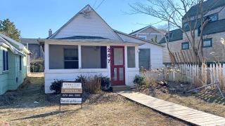 Little Sandpiper - Cape May Point - 8