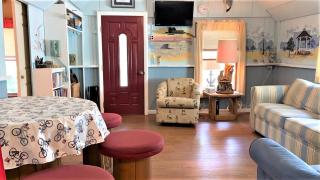 Little Sandpiper - Cape May Point - 3