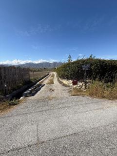 Cortijo Celia - 2