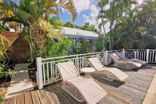 Iguana Home - 6