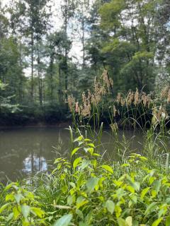 The 312 House - A Boho Retreat- Hocking Hills - 6