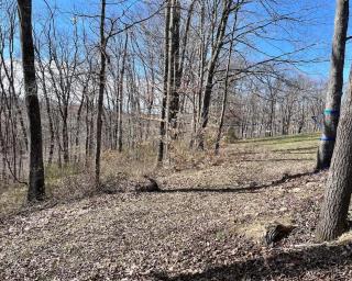 The Treetop A Hocking Hills Villa Treat - 4