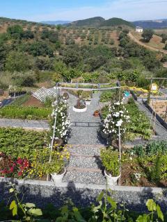 Les Collines du Sabor - 2