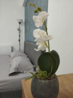 The Secret Studios - 2