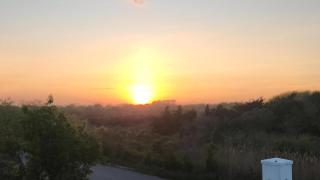 1608 Maryland Henrys Hideaway - 8