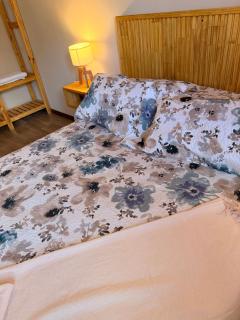 Apart Patagonia Bolson - 4