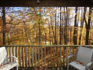 Timber Ridge Retreat - 4