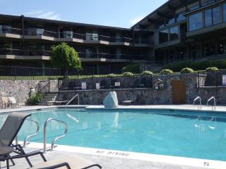 Timber Ridge Retreat - 1