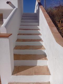 El nido del dragón - 7