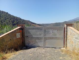 El nido del dragón - 1