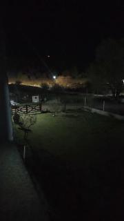 Los Bichos - 7