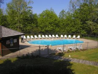 Snowshoe Sanctuary at Summit Village - 6