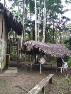 ECO HOSTAL El VIEJO BOSQUE TOUR AMAZON - 6