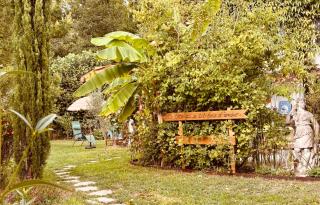 Le Petit Bois d'Amour - 0