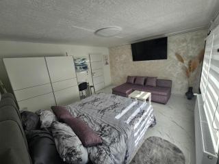 ENA 1&2 - BIG free parking , central heating - 1