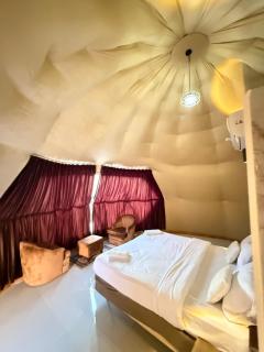 Nala Luxury Camp - 1