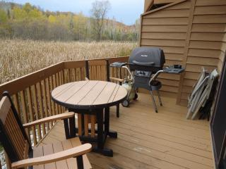 'Escape Plan' great location for year round fun - 4
