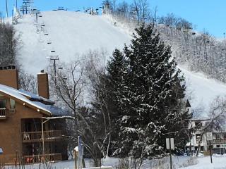 Playing Hookie at Schuss - 6