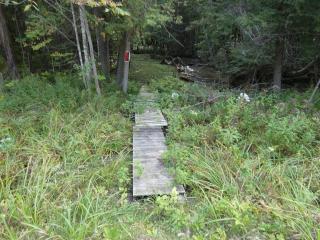 Woodland Retreat At Finch Creek - 4