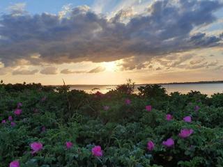 8 person holiday home in Holbæk - 1