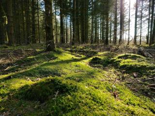 6 person holiday home in Give-By Traum - 1