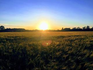 6 person holiday home in Give-By Traum - 2