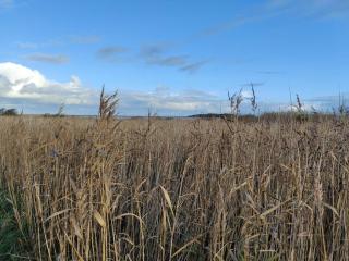 8 person holiday home in Lemvig-By Traum - 4