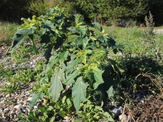 6 person holiday home in Skibby-By Traum - 2