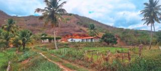 Daianne Silva Barbosa - 4