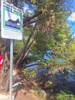 Apartments with parking space Splitska - Brac - 2867 - 7