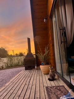 Magnífico Chalé Aconchego Serrano - 3