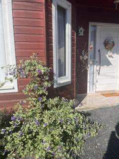 Casa Aconchego Serrano - 9