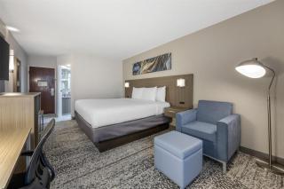 SureStay Plus Hotel by Best Western Chicago Lombard - 1