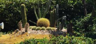 Entire chalet in Laguna Bay Ein El Sokhna - 8