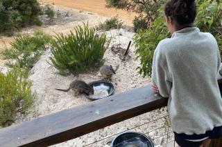Beonne the Bay at Vivonne Bay, Kangaroo Island - 2