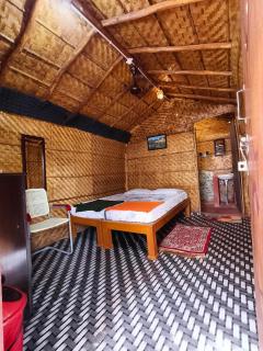 Dream Hampi Cottage - 2